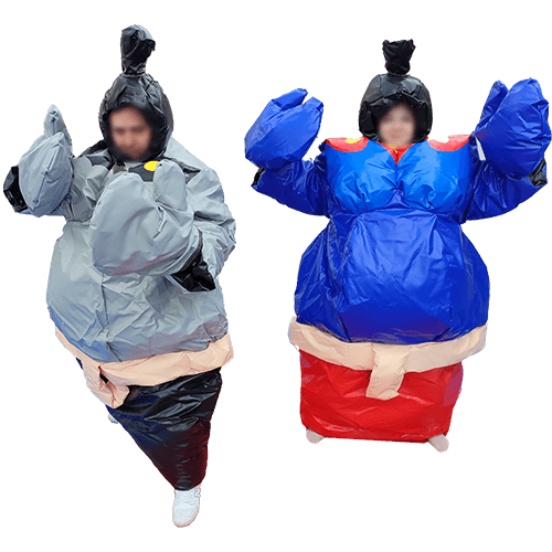 Sumos adulte et enfant